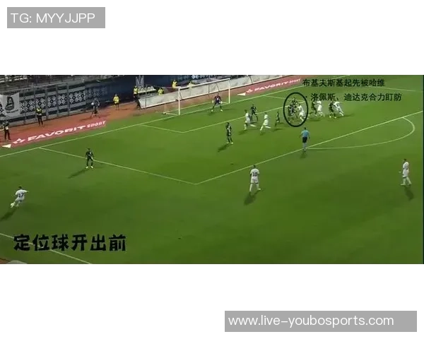 欢乐足球中的多元球员类型解析与角色定位探讨