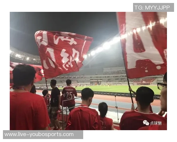 杨佳琦与足球的奇妙结合:从直播带货到绿茵场上的热情探索 杨佳琦与足球的奇妙结合:从直播带货到绿茵场上的热情探索